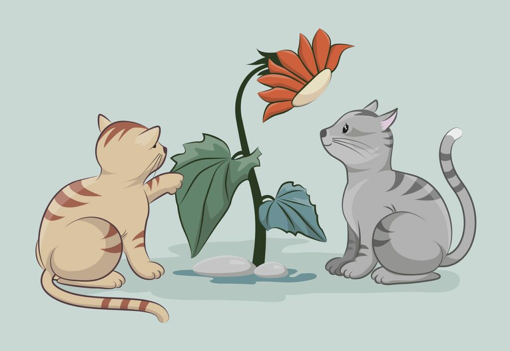 cats, pets, animals-7122943.jpg